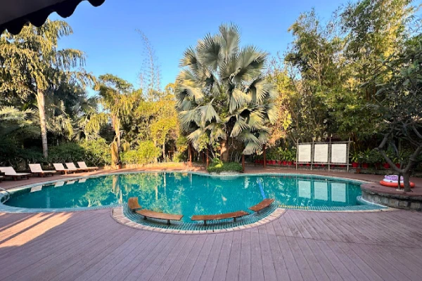 The Fern - Gir Forest Resort