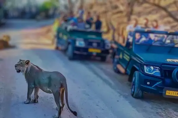 Devalia Park Jeep Safari