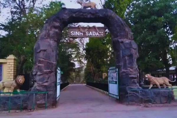 Gir Bird Watching Tour
