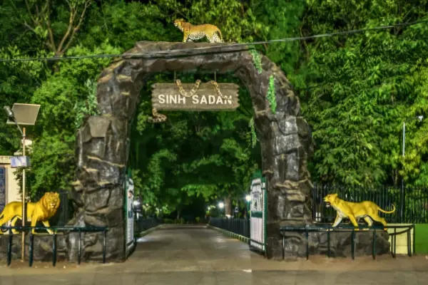 Devalia Park Lion Safari Booking